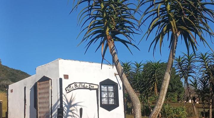 Buffalo inn Hluhluwe