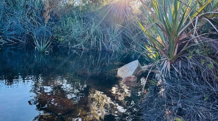 Stayatdestraadt Red Fin Cottage and Middeldeur Campsite