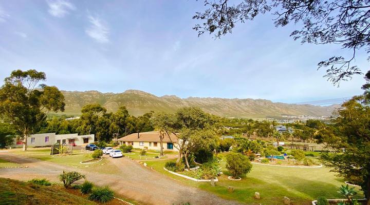 Into the Sunset Manor