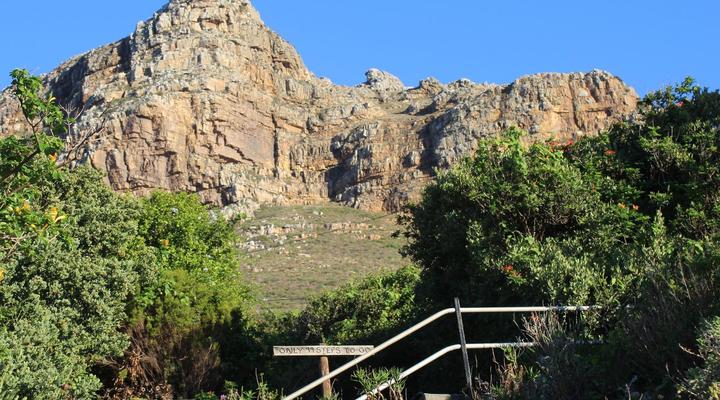 Bluebottle Guest House