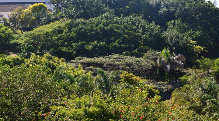 Zuider Zee Guest House