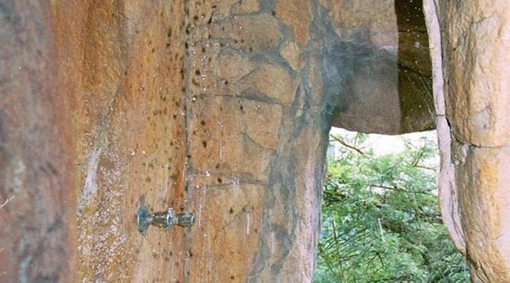 Inkwenkwezi Private Game Reserve