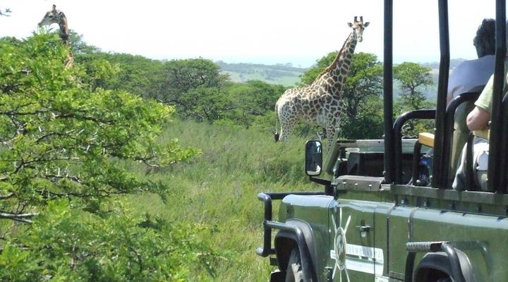 Inkwenkwezi Private Game Reserve