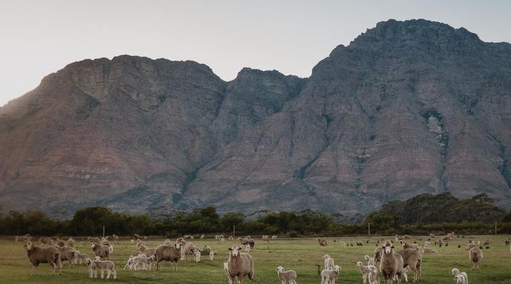 Bartholomeus Klip Farmhouse