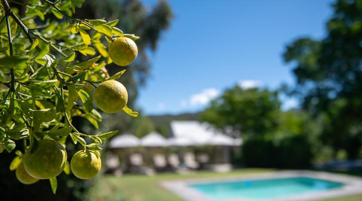 Thorntree Country Lodge