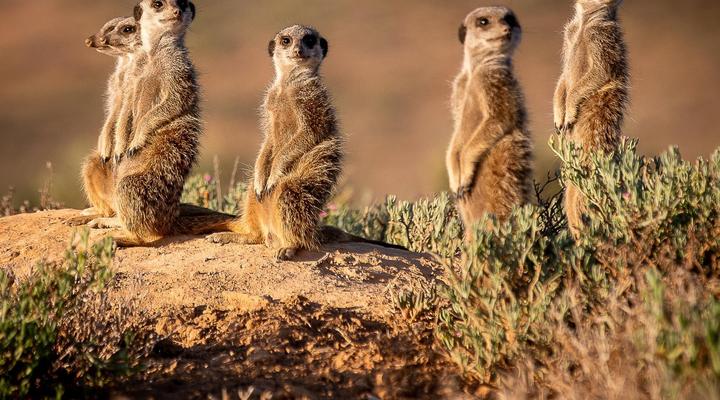 De Zeekoe Guest Farm