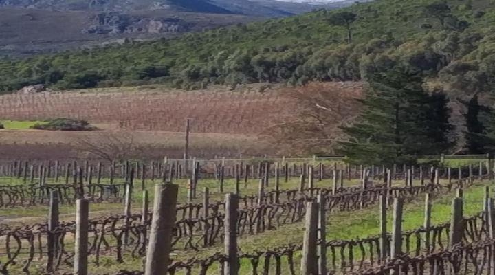 L'Auberge Chanteclair