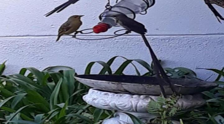 Headlands House Guest Lodge