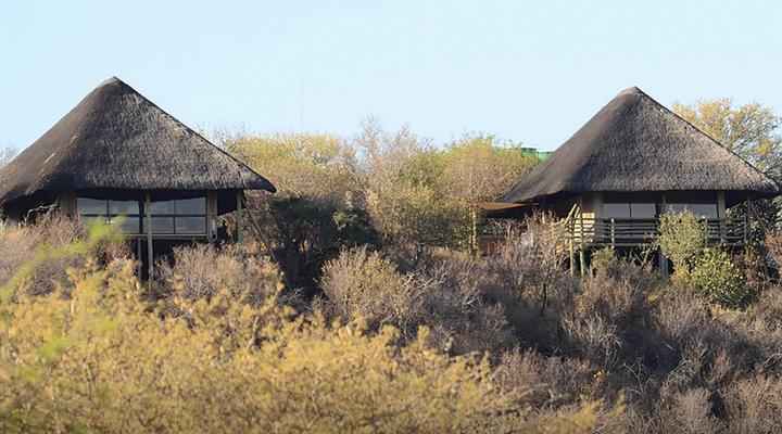 Thulani Game Lodge & Eco Estate