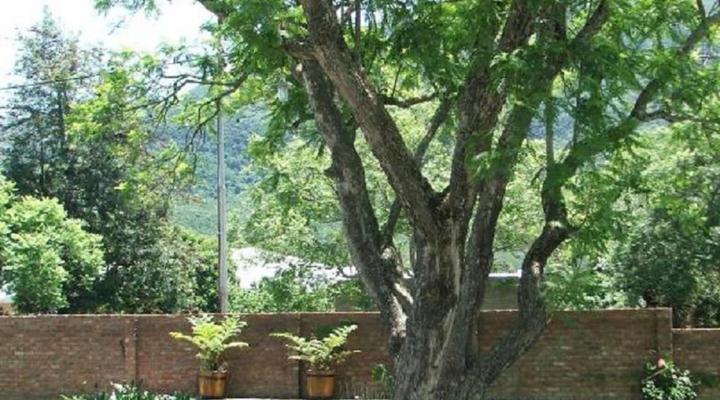 Angler & Antelope Guest House