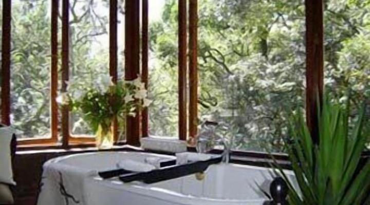 Forest Creek Lodge & Spa