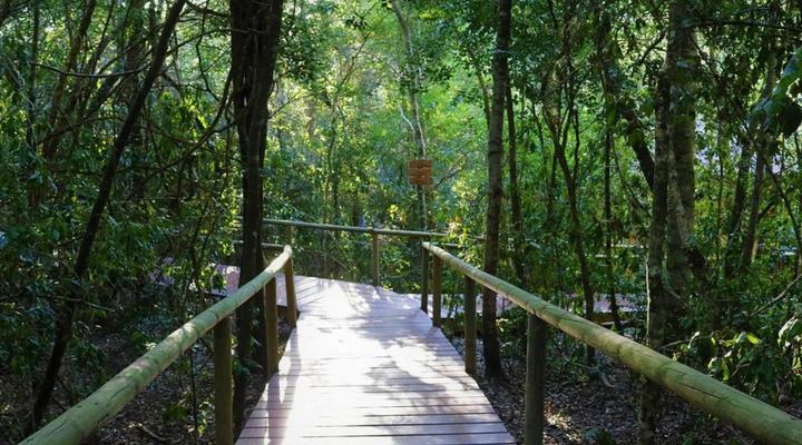 Trogon House and Forest Spa