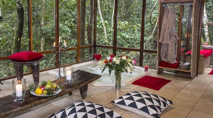 Trogon House and Forest Spa