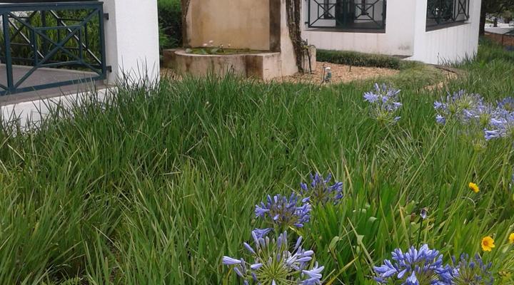 Sherwood's Country House