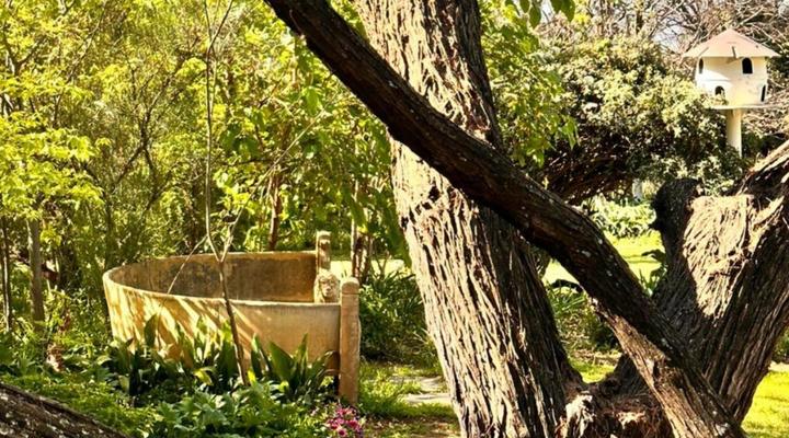 Haldon Estate Country Lodge