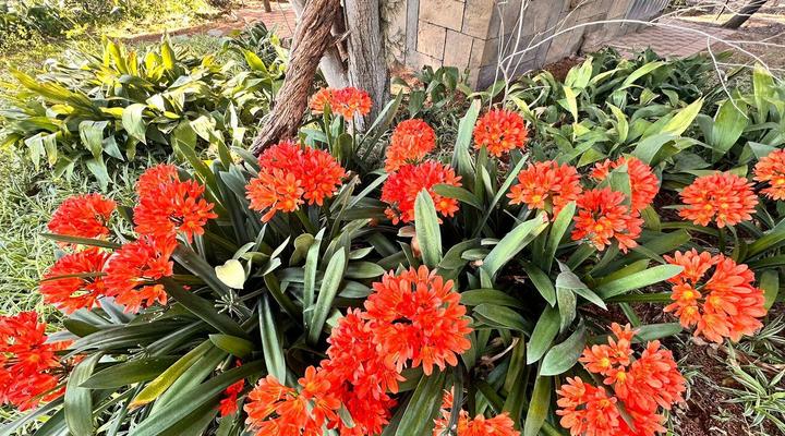 Haldon Estate Country Lodge