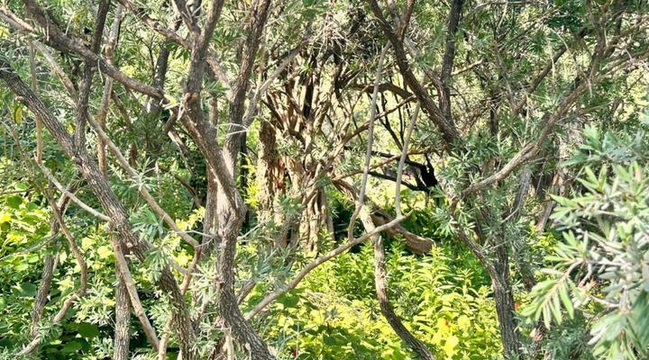 Haldon Estate Country Lodge