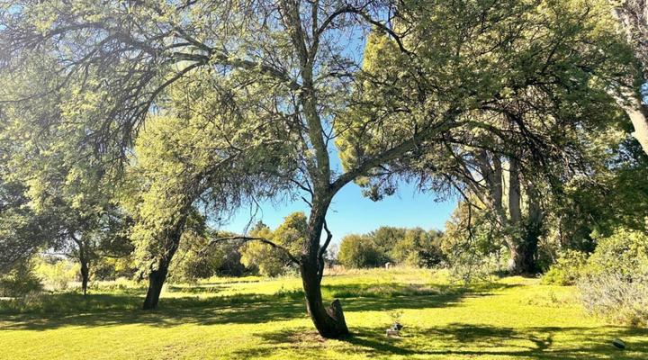 Haldon Estate Country Lodge