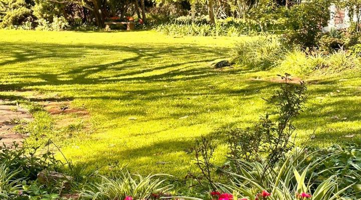 Haldon Estate Country Lodge