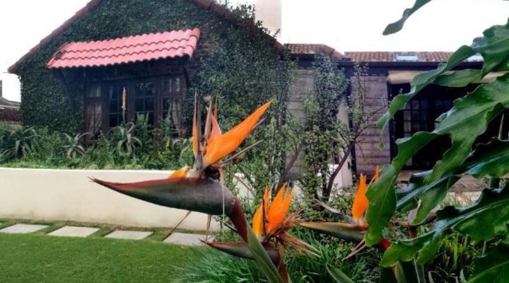 Gardenview Guest House