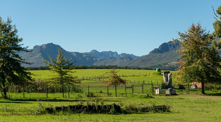 Linquenda Guest Farm