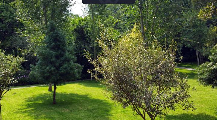 Sandton Lodge Rivonia