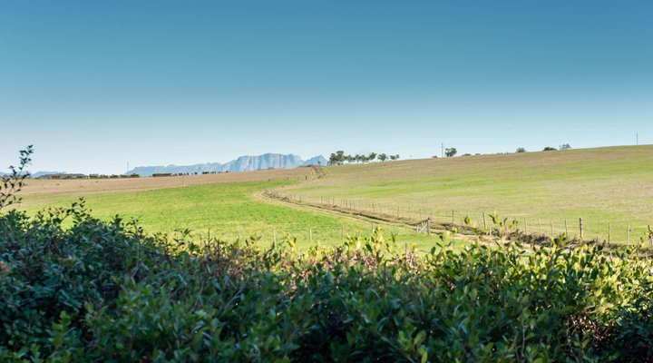 Linquenda Guest Farm