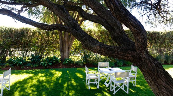 The Hedge Guesthouse