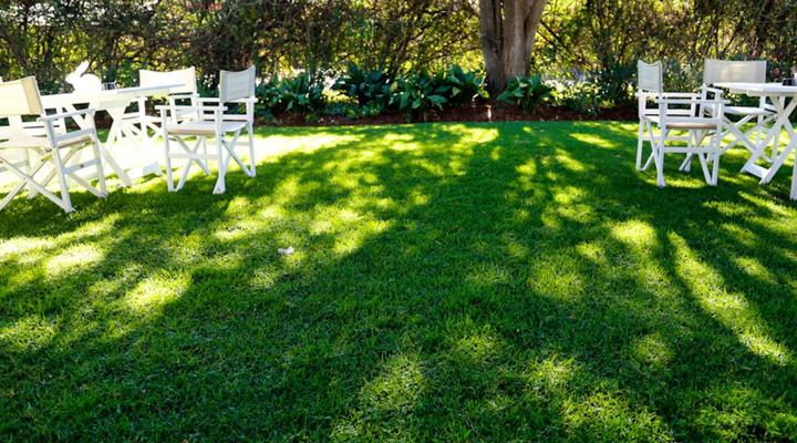 The Hedge Guesthouse