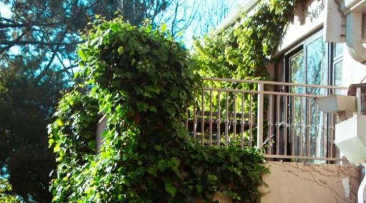 Southern Light Country House