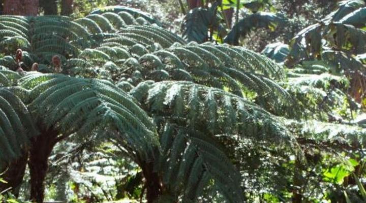 Southern Light Country House