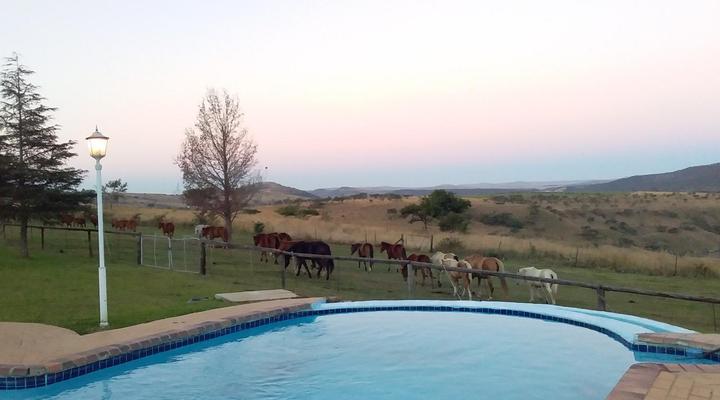 Blue Haze Country Lodge