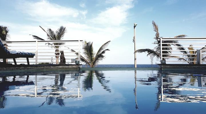 Bentley on the Beach
