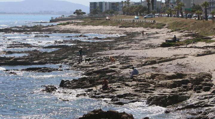 Dolphin Inn Guest House