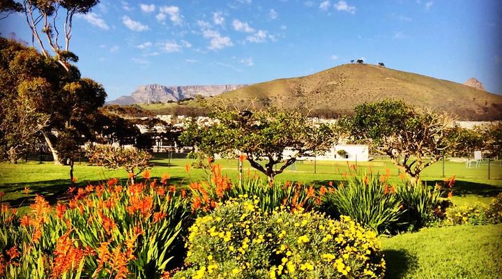 Dolphin Inn Guest House