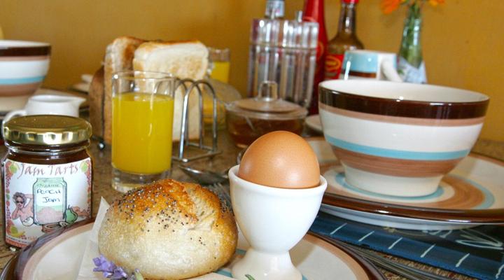 Dolphin Inn Guest House