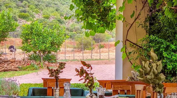 Berluda Farmhouse & Cottages