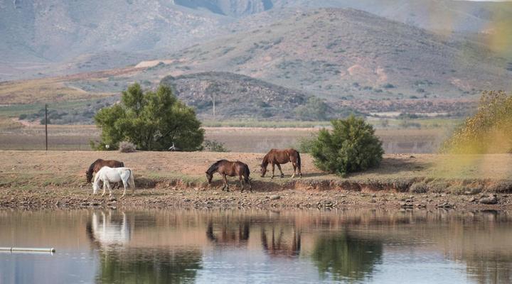 Excelsior Manor Guesthouse