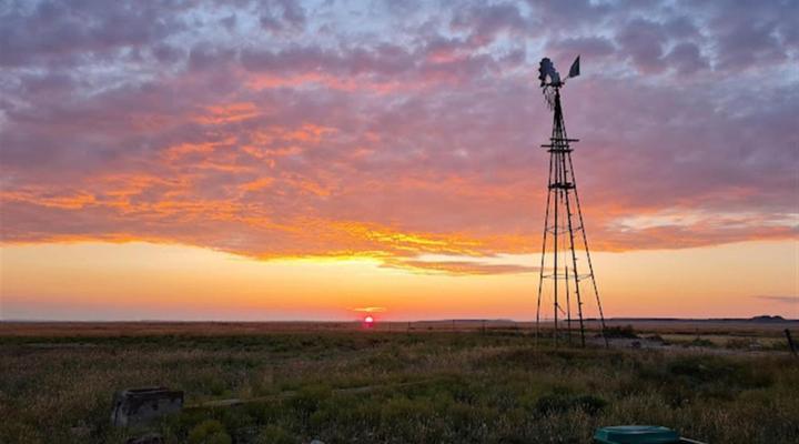 New Holme Nature Lodge