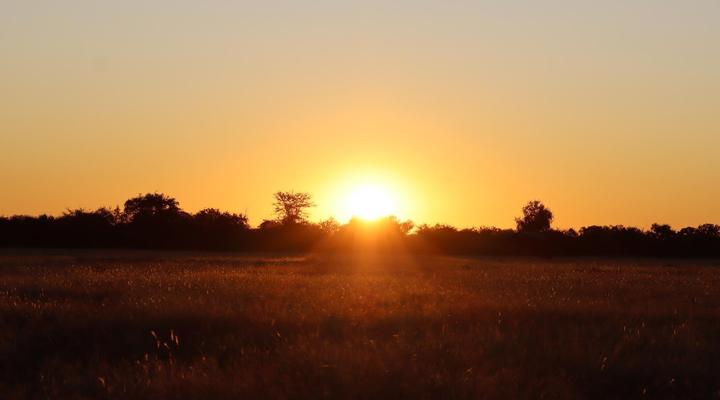 Etosha Mopane Safari Lodge