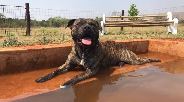 Votadini Country Cottages