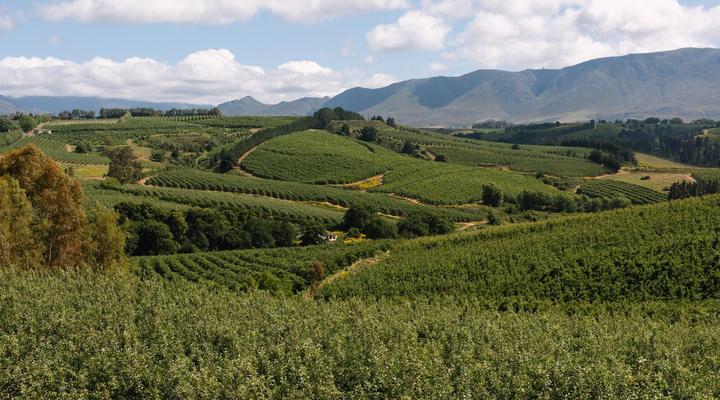 Cheverells Farm Accommodation