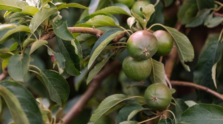 Cheverells Farm Accommodation