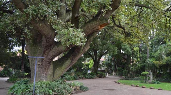 Airport Garden Boutique Hotel 