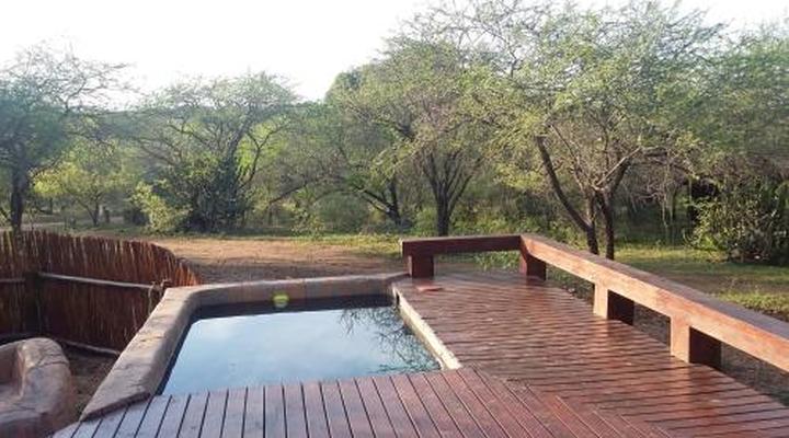 Marloth Kruger Whispering Ants