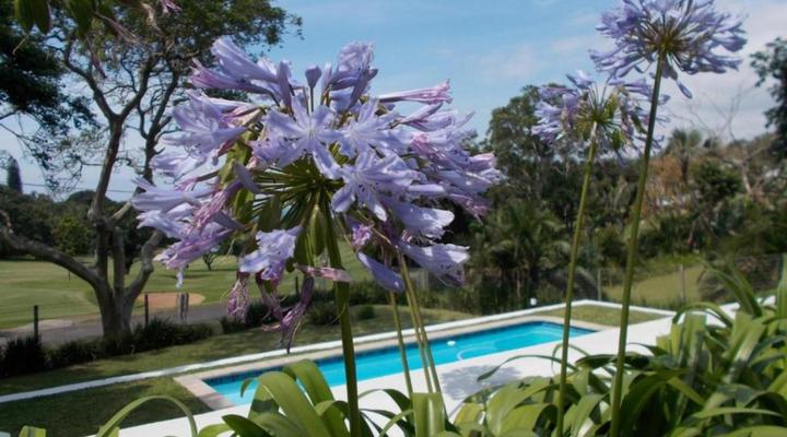 Coral Tree Colony Bed & Breakfast