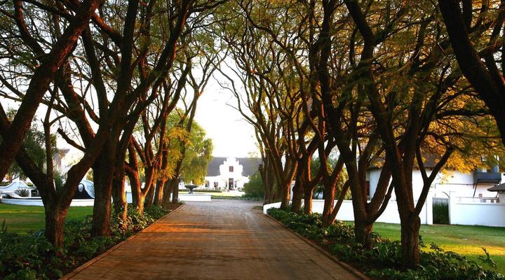 Kievits Kroon Gauteng Wine Estate