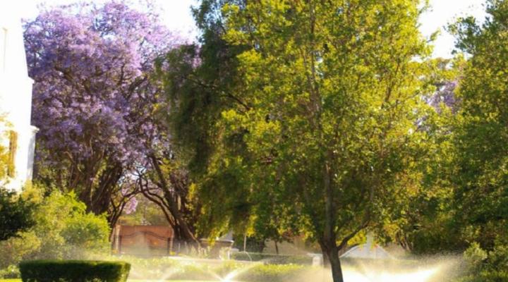 Kievits Kroon Gauteng Wine Estate