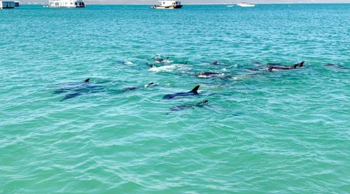 Kraalbaai Lifestyle House Boats