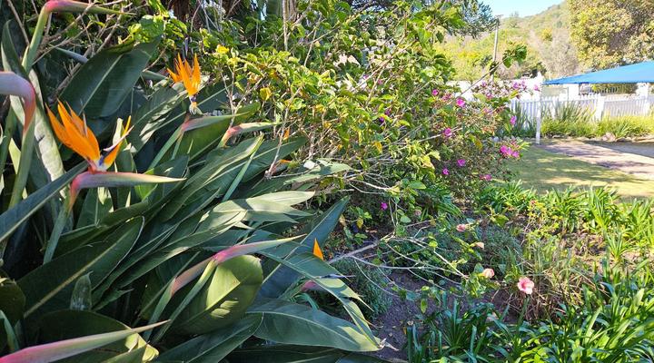 Stannards Guest Lodge